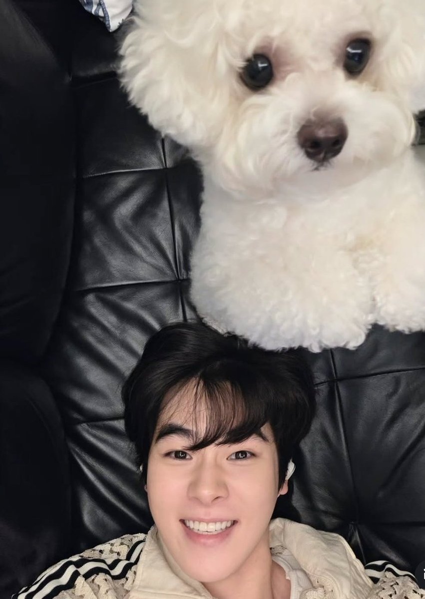 Bombam.fc tweet media