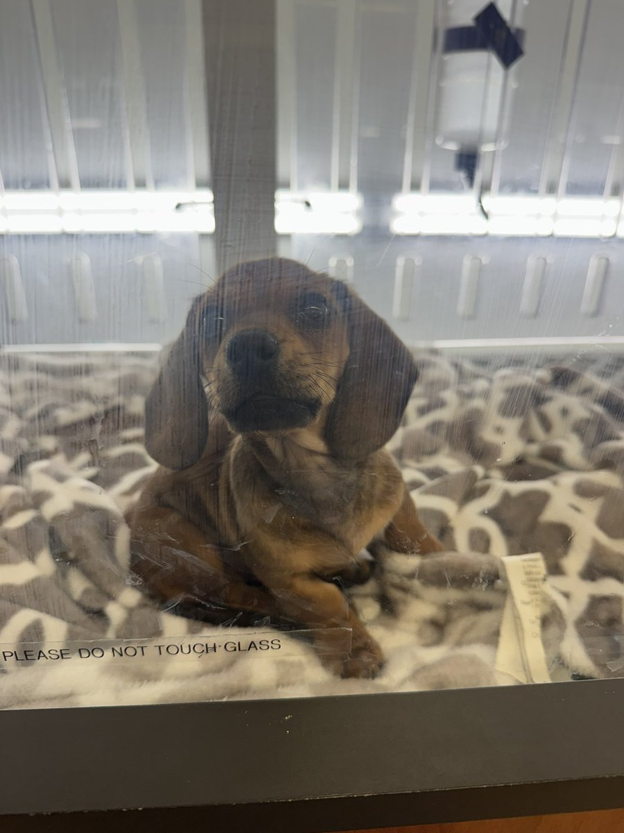 American Citizen 🇺🇸 tweet media