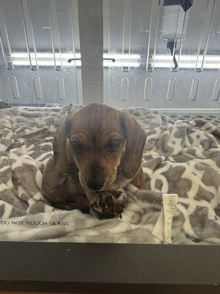 American Citizen 🇺🇸 tweet media