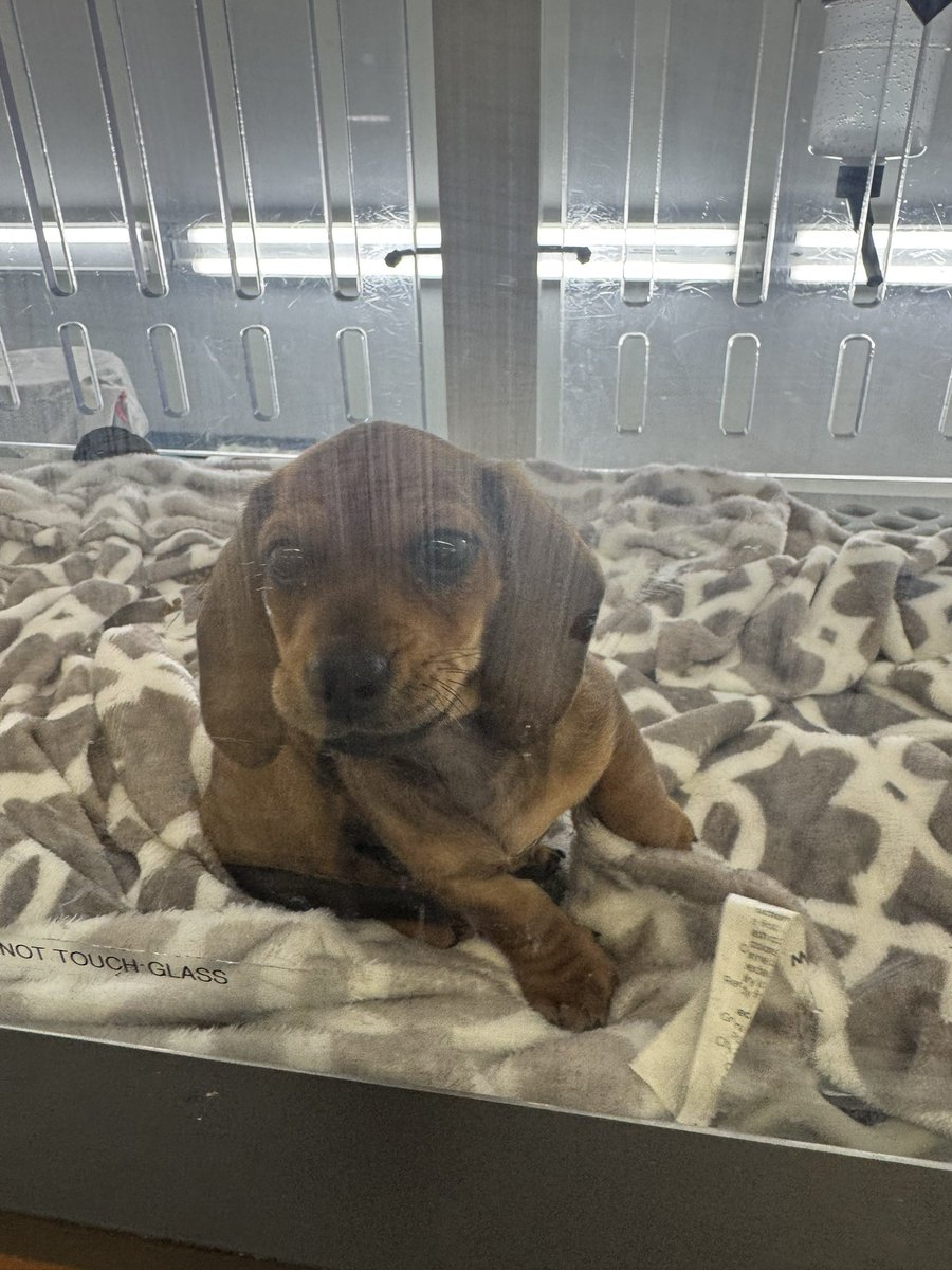 American Citizen 🇺🇸 tweet media