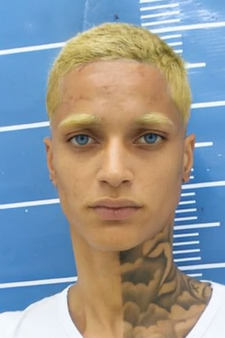 Kate acervo oruam tweet media