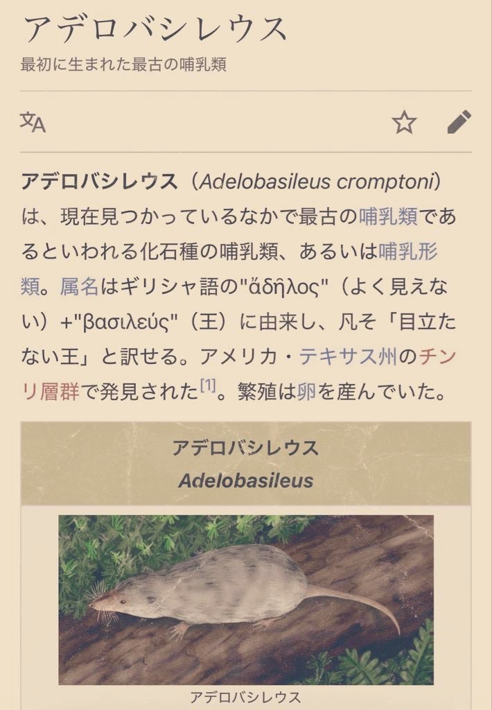 ＜: 3)～ tweet media