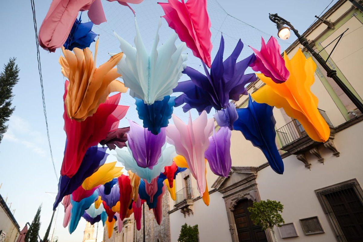 _LuceroAlvarez's tweet photo. Flores gigantes elaboradas de telas coloridas forman parte del "Jardín Botánico", que decorará los cielos del Corredor Cultural Carranza durante la feria. Les dejo algunas fotitos para que vean cómo luce y me digan ¿qué les pareció?

#LuceroÁlvarez #Aguascalientes #fnsm2026 https://t.co/niDWUMwhPs