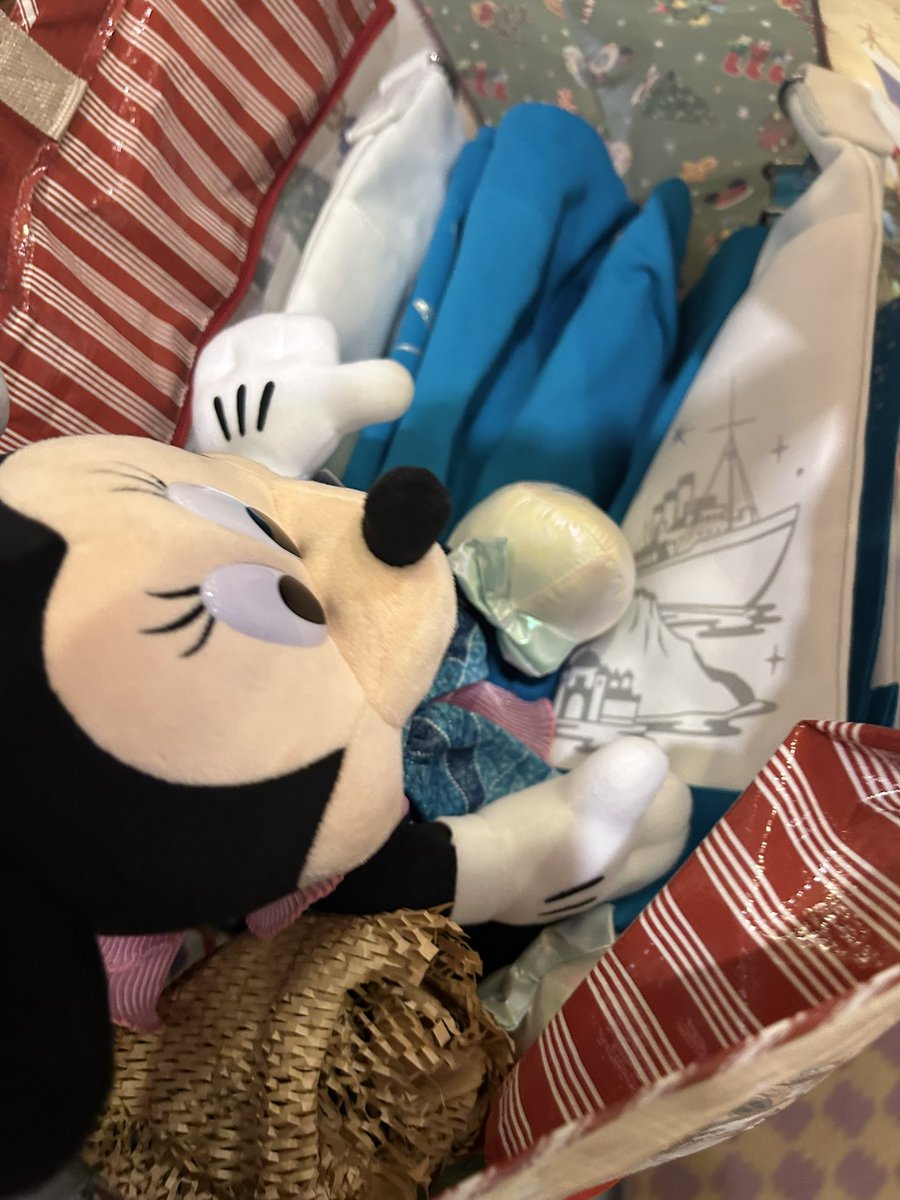 🐰みなみ🐰 tweet media