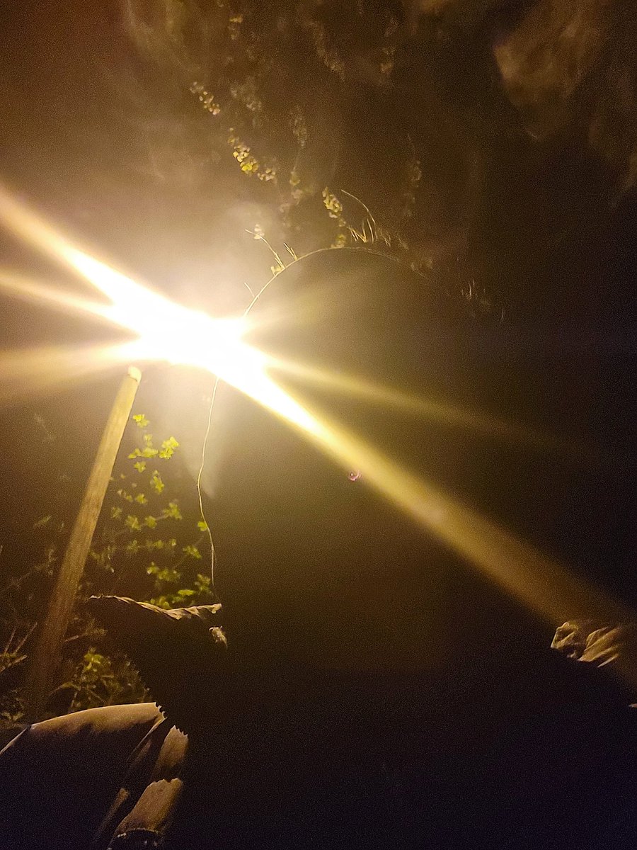 Alpha Alim 🇷🇺🇩🇪 tweet media