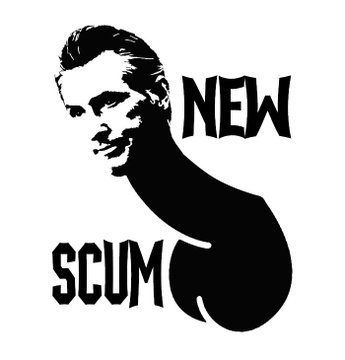 Gavin Newscum tweet media