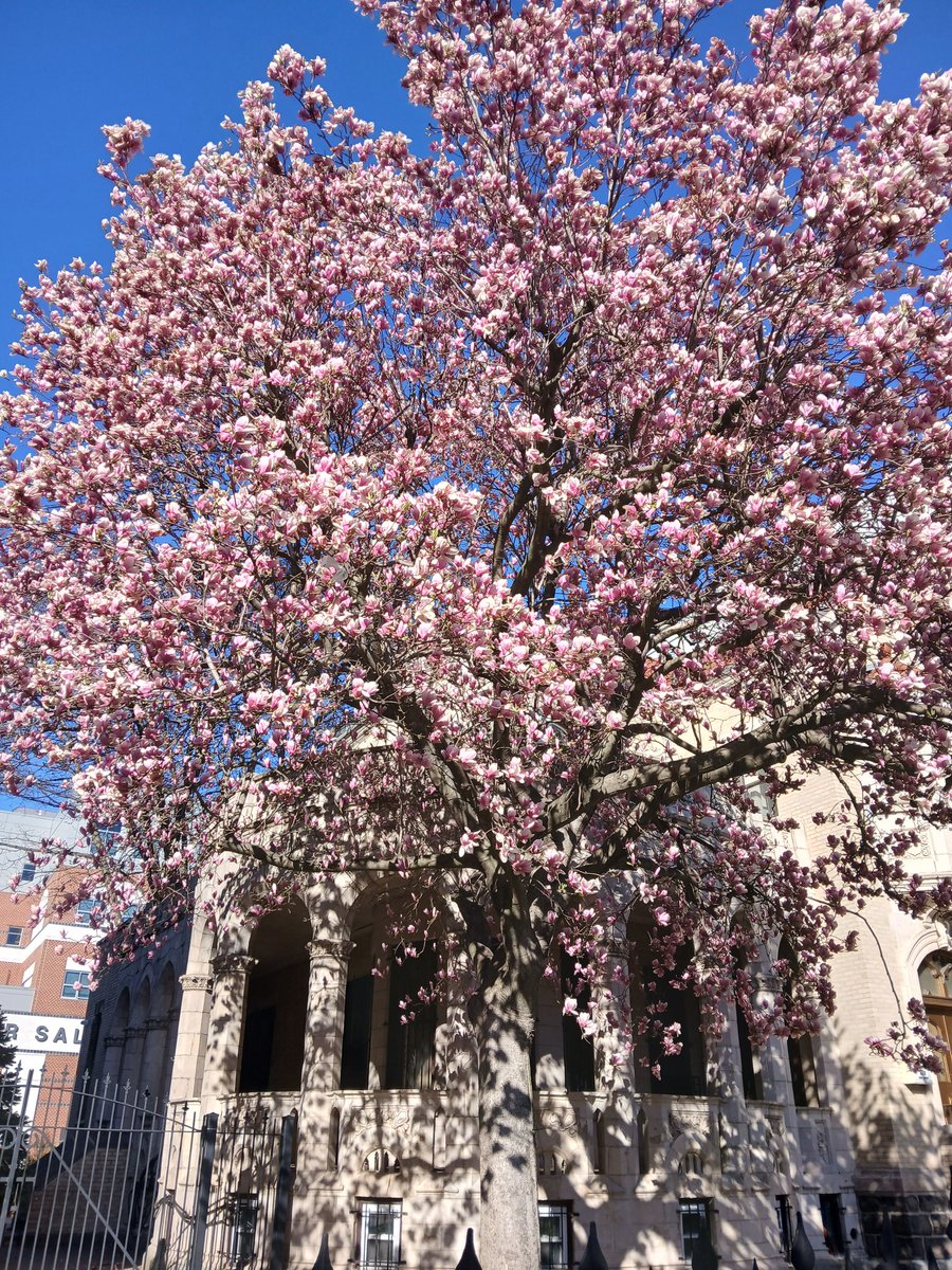 Marvincito Ⓜ️ tweet media