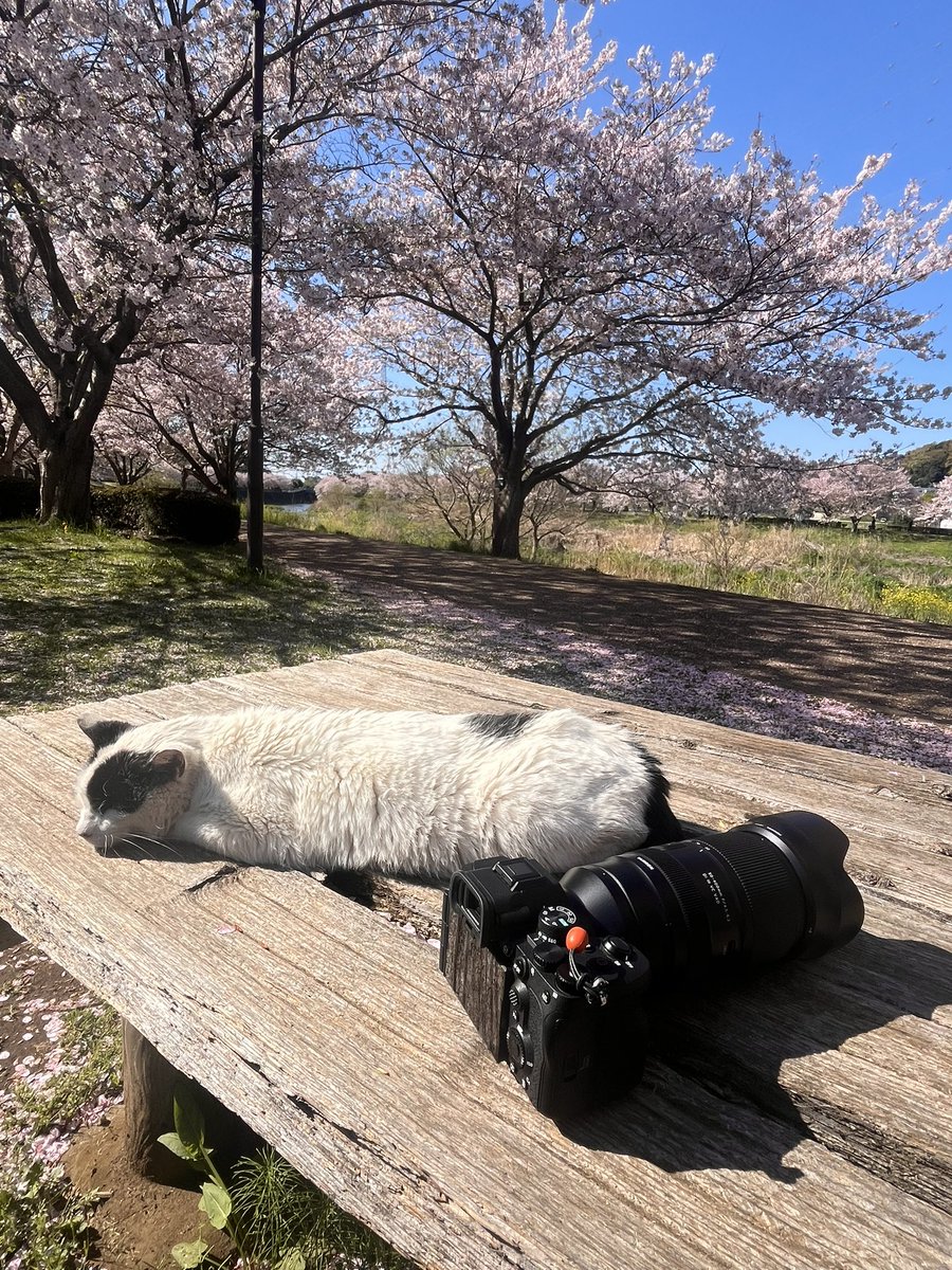 竹内一博 Kazuhiro Takeuchi tweet media