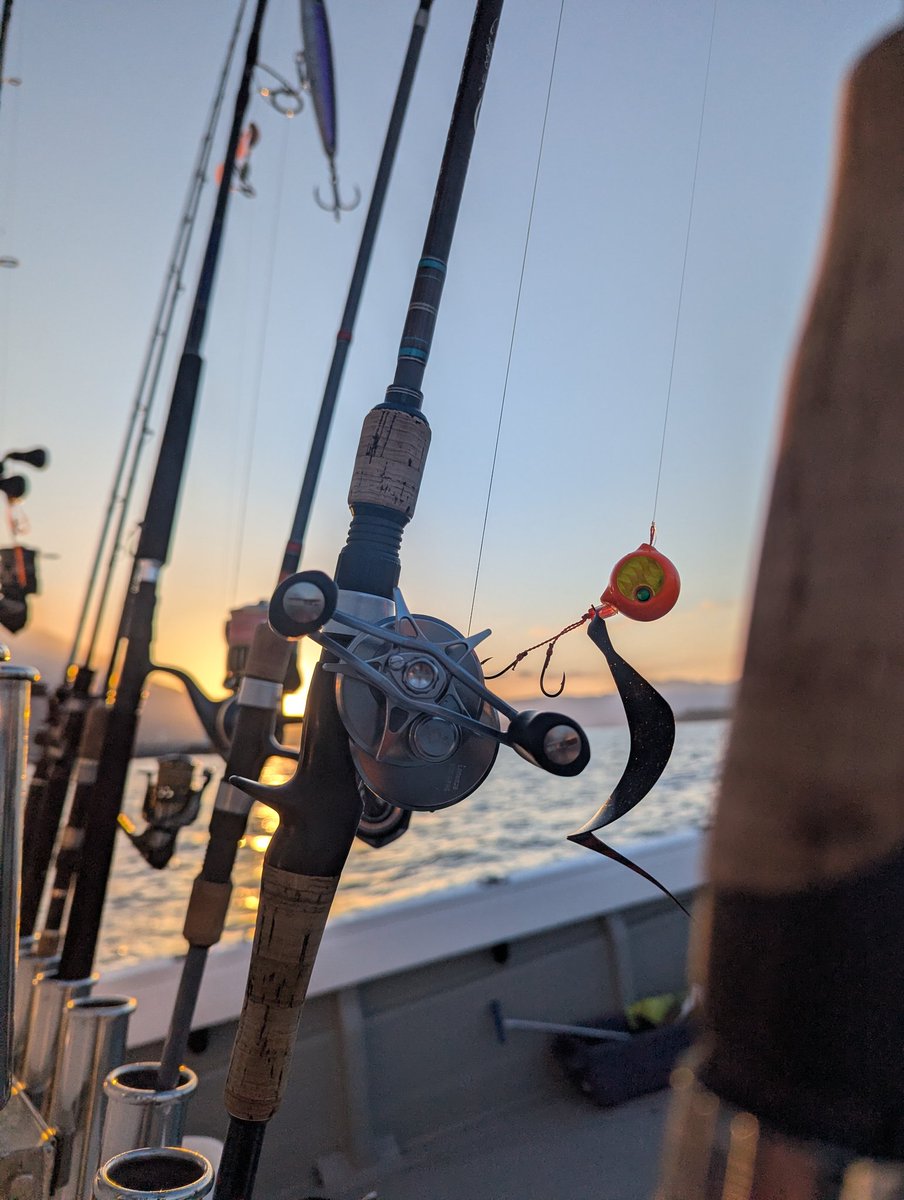 わいあーる tweet media