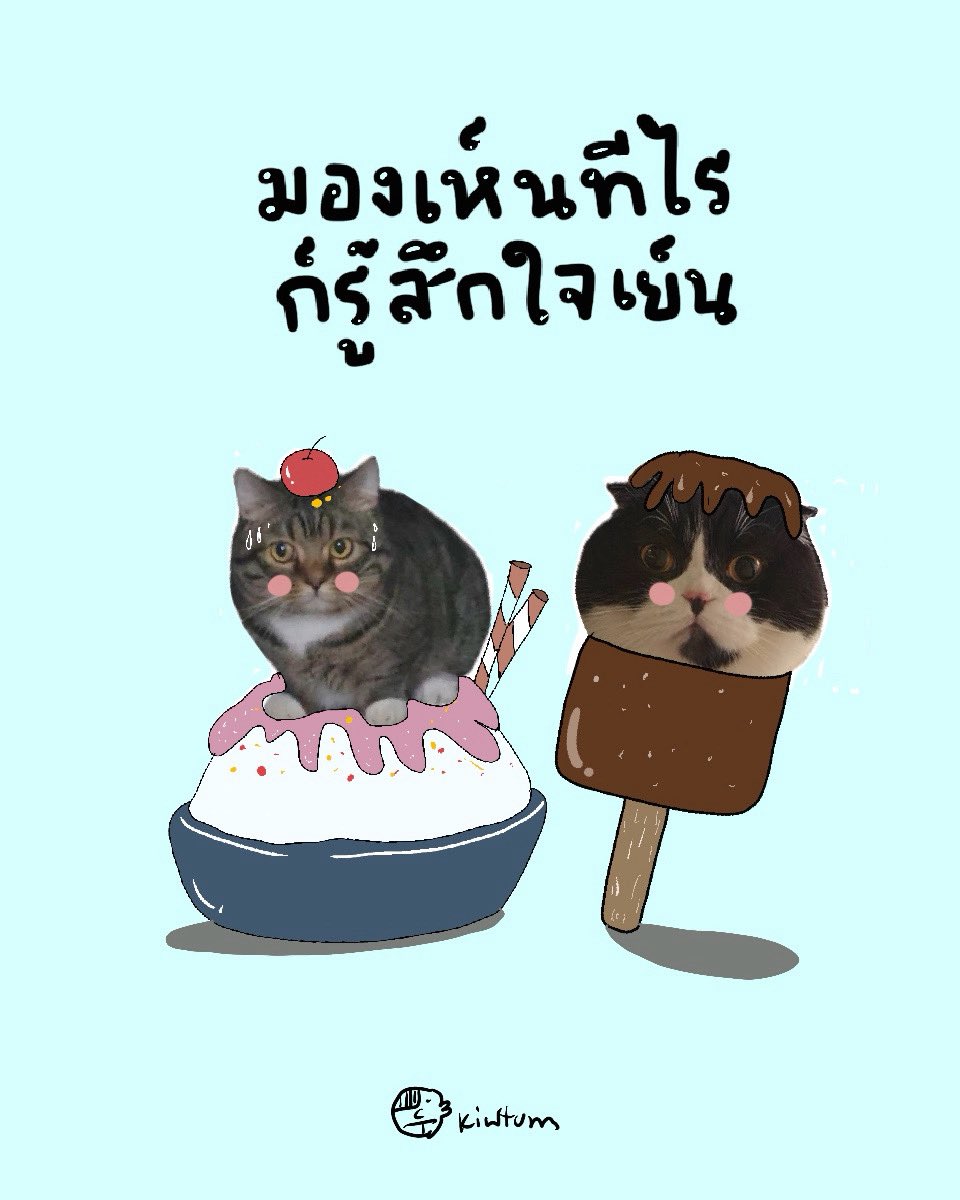 คิ้วต่ำ tweet media