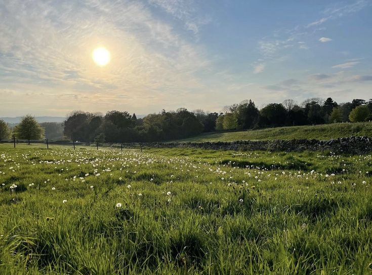 ݁ 𝑬𝒕𝒉𝒂𝒏 ݂ ତ ☁️ tweet media