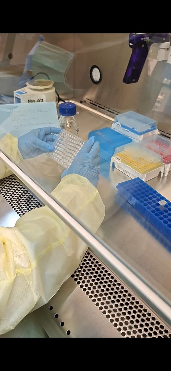 Department of Biology tweet media