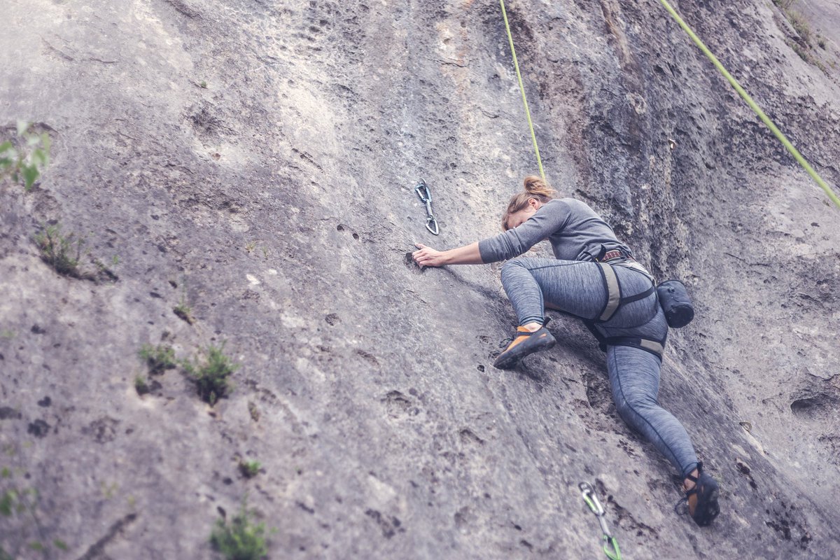 Paris C. Park tweet media