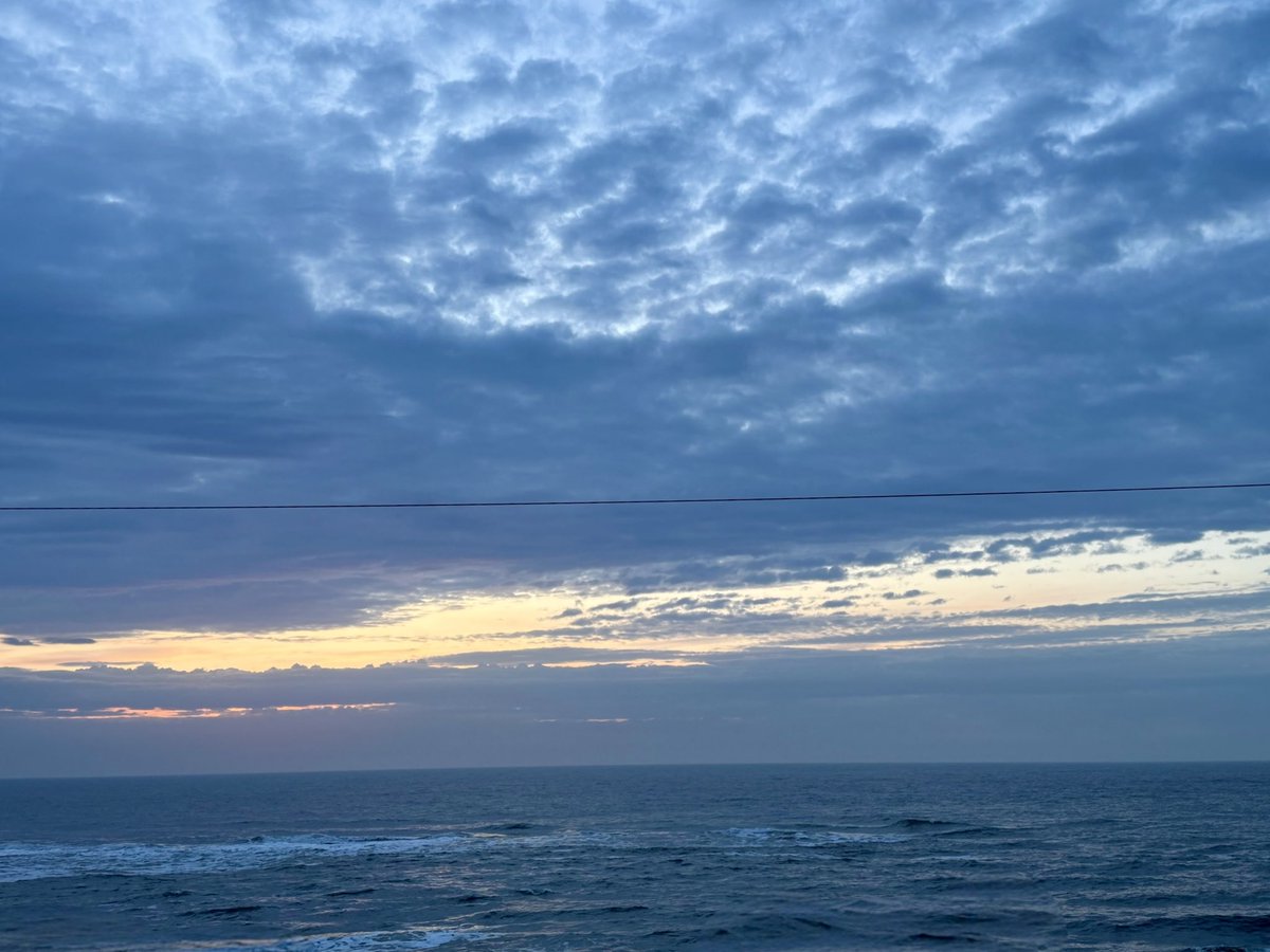 SeaWindowCraster tweet media