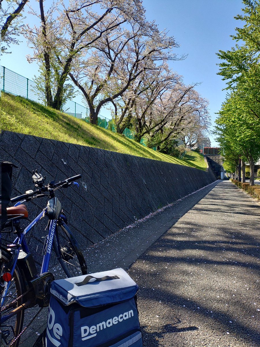 配達ねこ tweet media