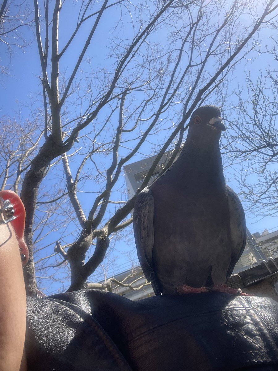 ずのぇのあ tweet media