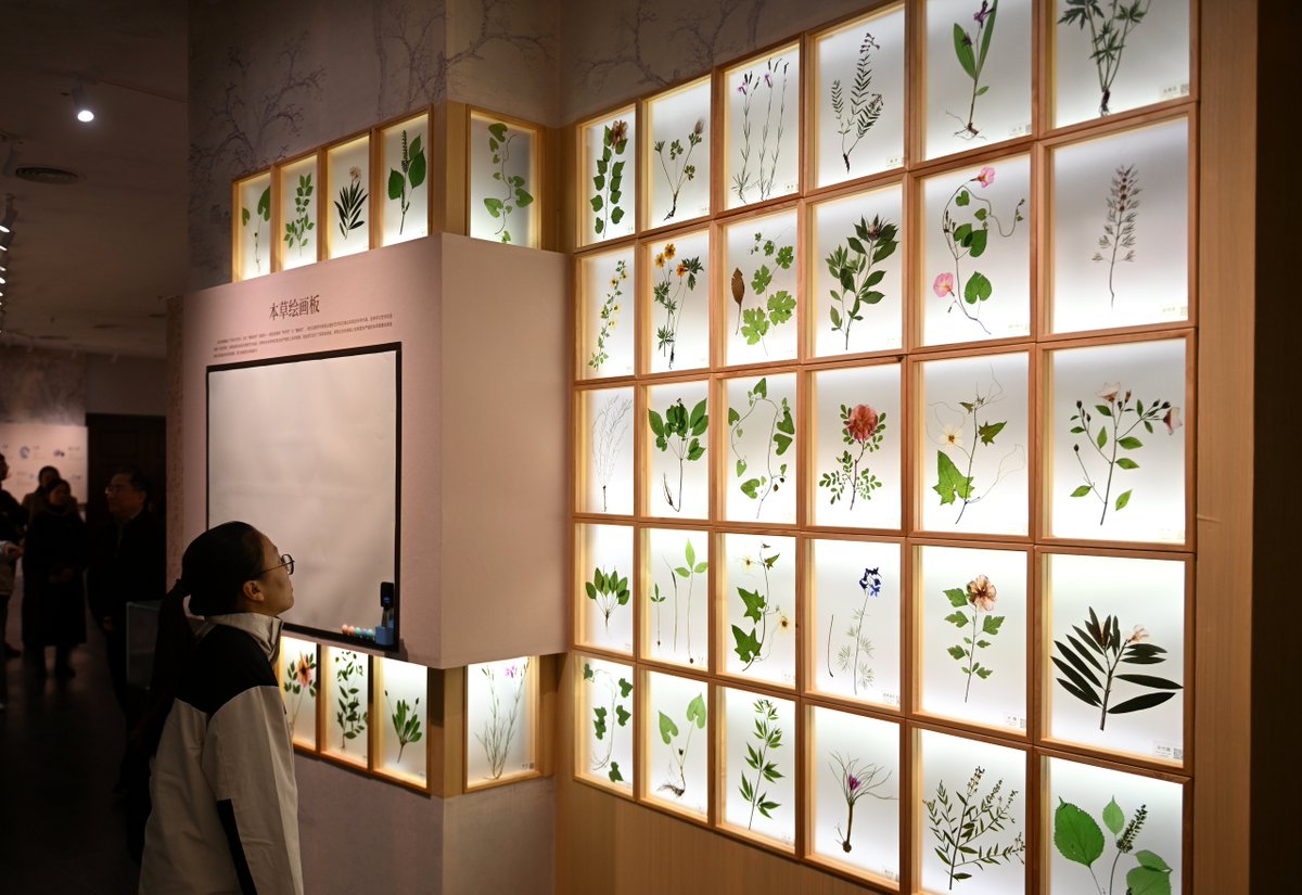 ChinaDaily's tweet image. A broader transformation is underway in China's millennia-old traditional Chinese medicine sector, as policymakers and industry leaders seek to combine ancient medical theory with modern #technology.

China hopes #AI, stricter quality and regulatory standards and industrial