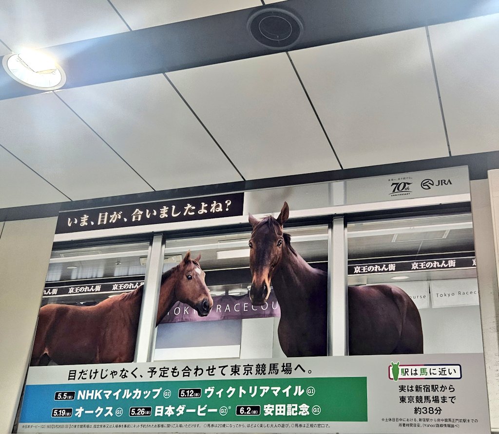 uesamahappy1ife's tweet photo. 今年も東京開催の春競馬広告が楽しみです💖
こちらは2024年の京王電鉄JRA広告✨個人的にめちゃくちゃ好き👀🐎🚃🫶🏻 https://t.co/zdhOXeIkI8