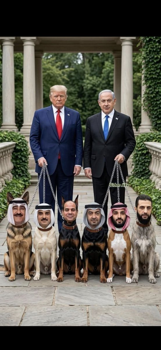 Overcooked Chicken tweet media