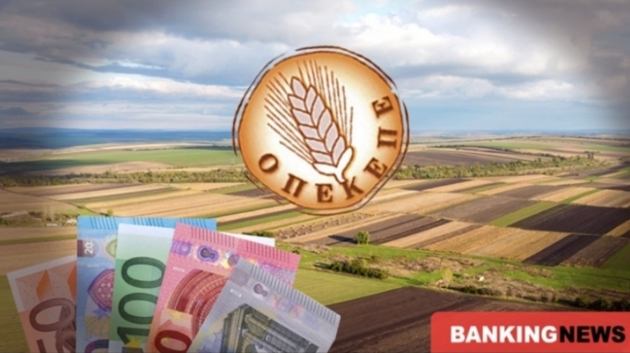 Όλγα tweet media