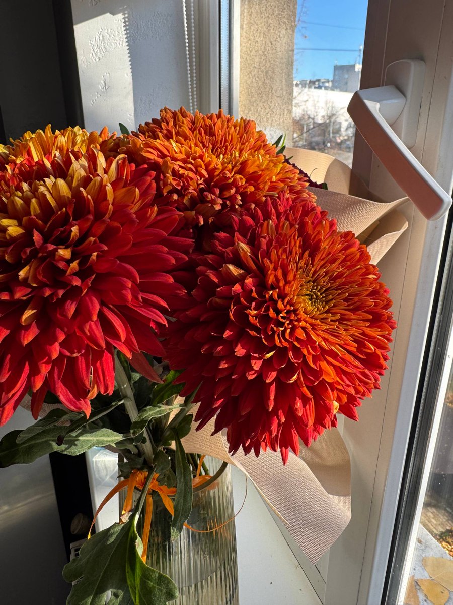 thekasik tweet media