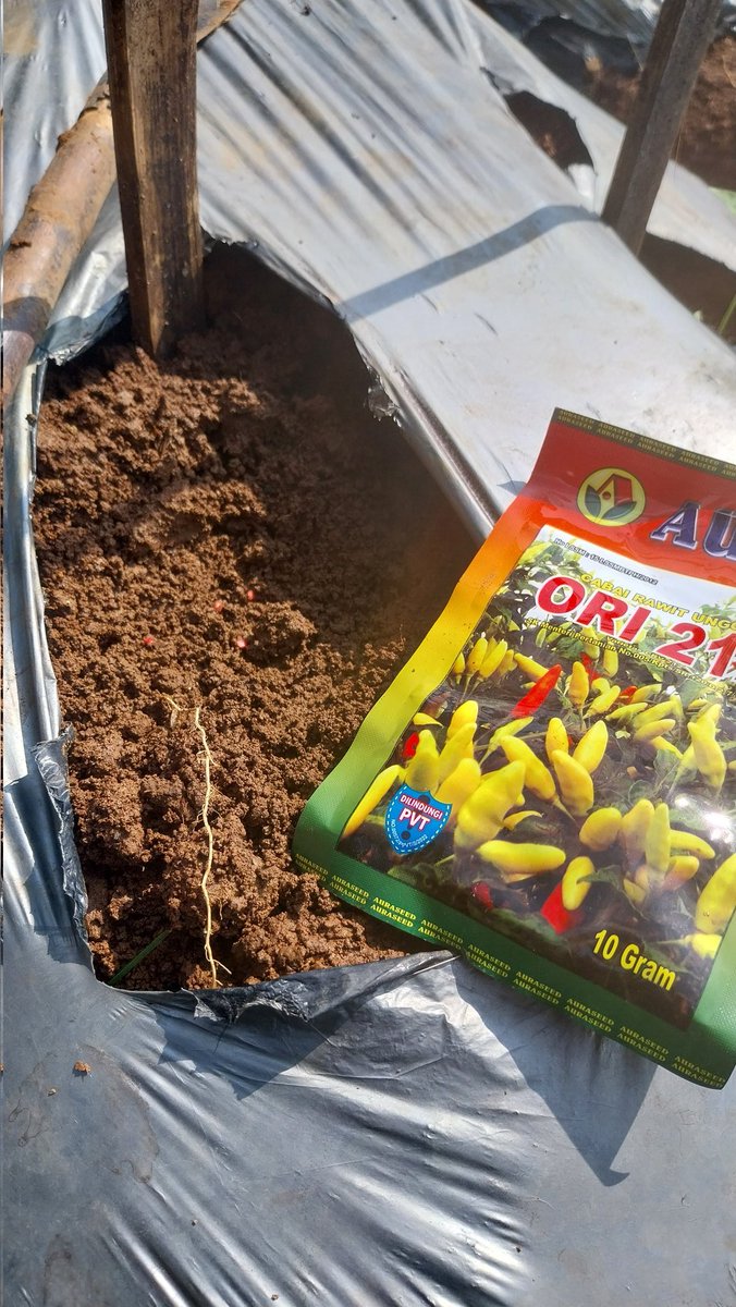 Atilu Nursery tweet media