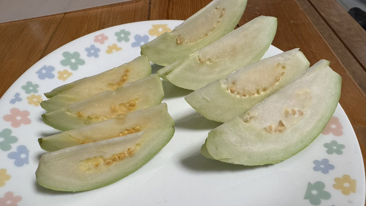 茸本 朗(たけもとあきら)　「野食ハンター茸本朗ch」公開中!! tweet media