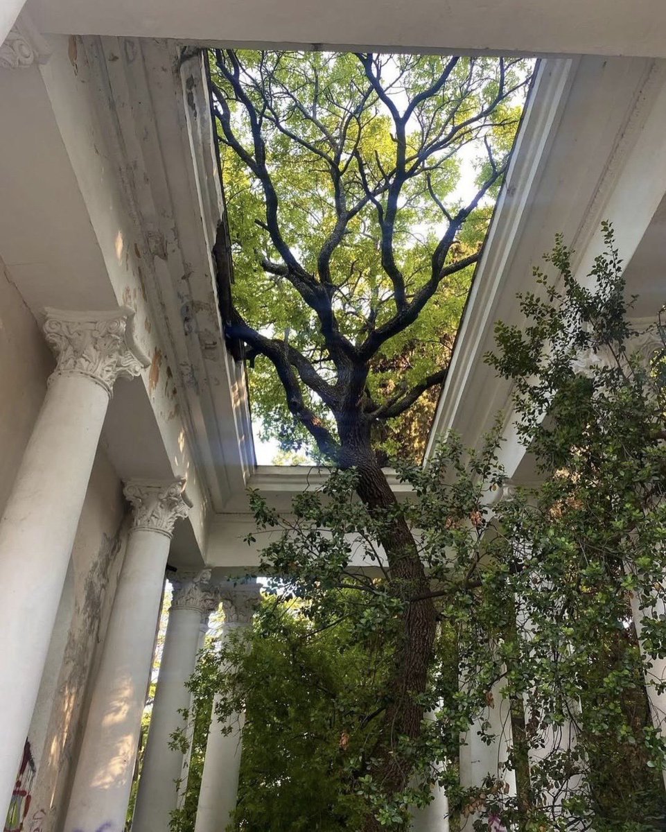 Omne Europa tweet media