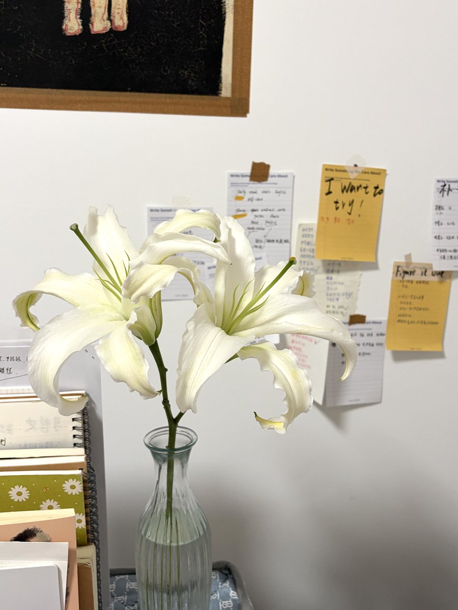 登徒子 tweet media