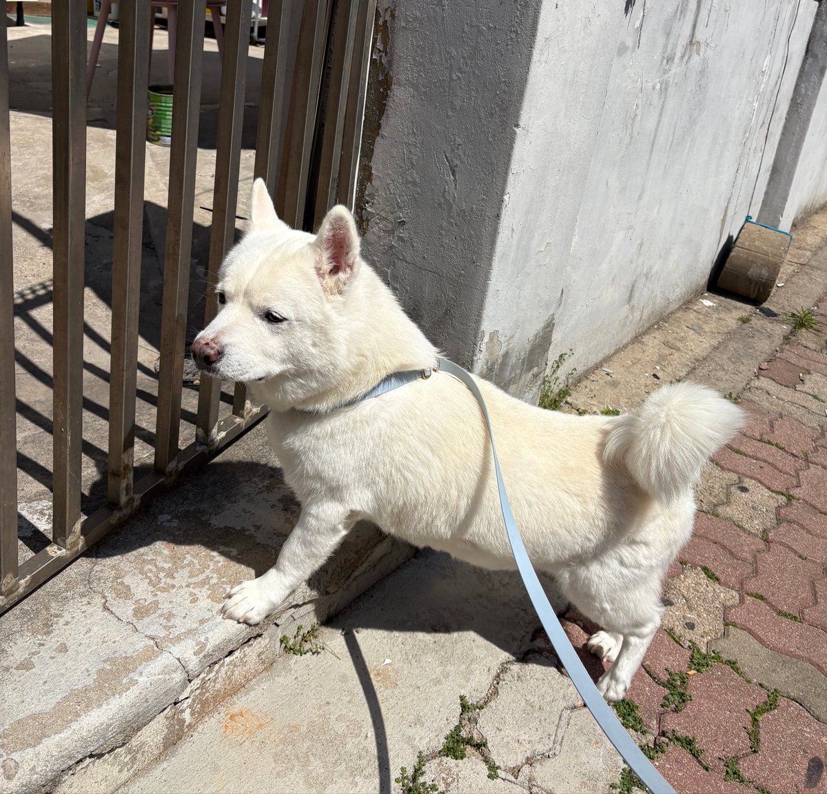 🐻‍❄️내이름은 윤석이🐻‍❄️ tweet media