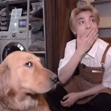 Lusi ❄️ tweet media