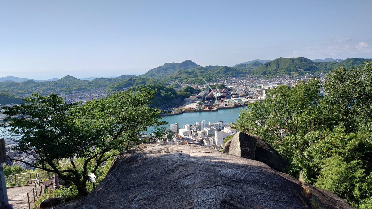 シータ tweet media