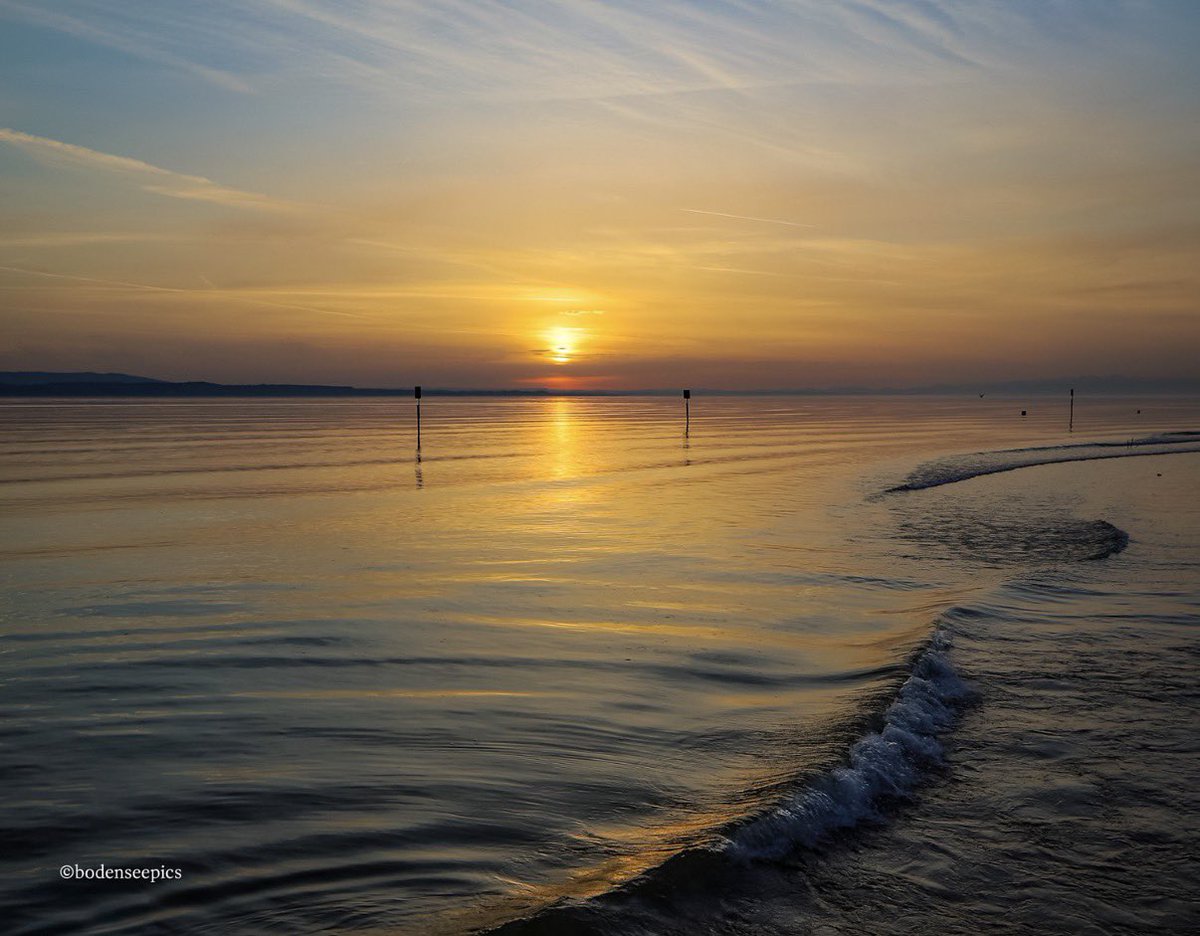 Pia Scheuer | BODENSEEPICS tweet media