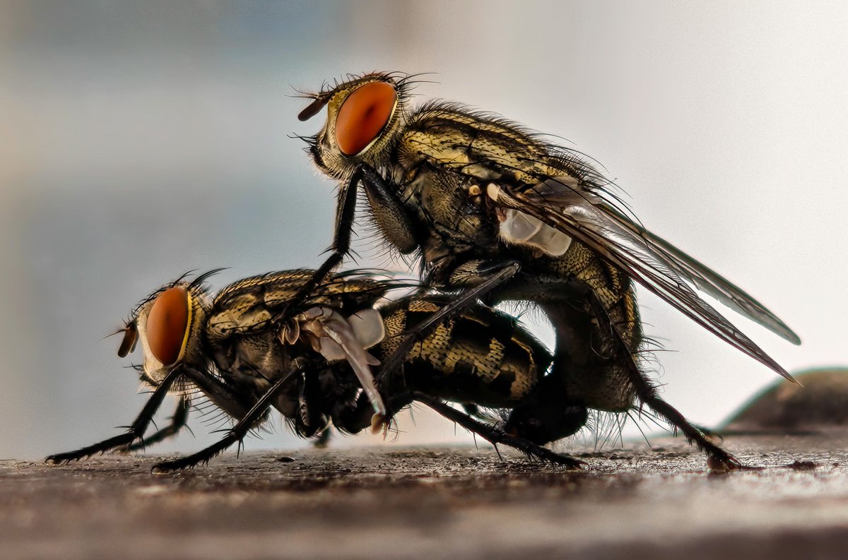 Pushpendra Kumar tweet media