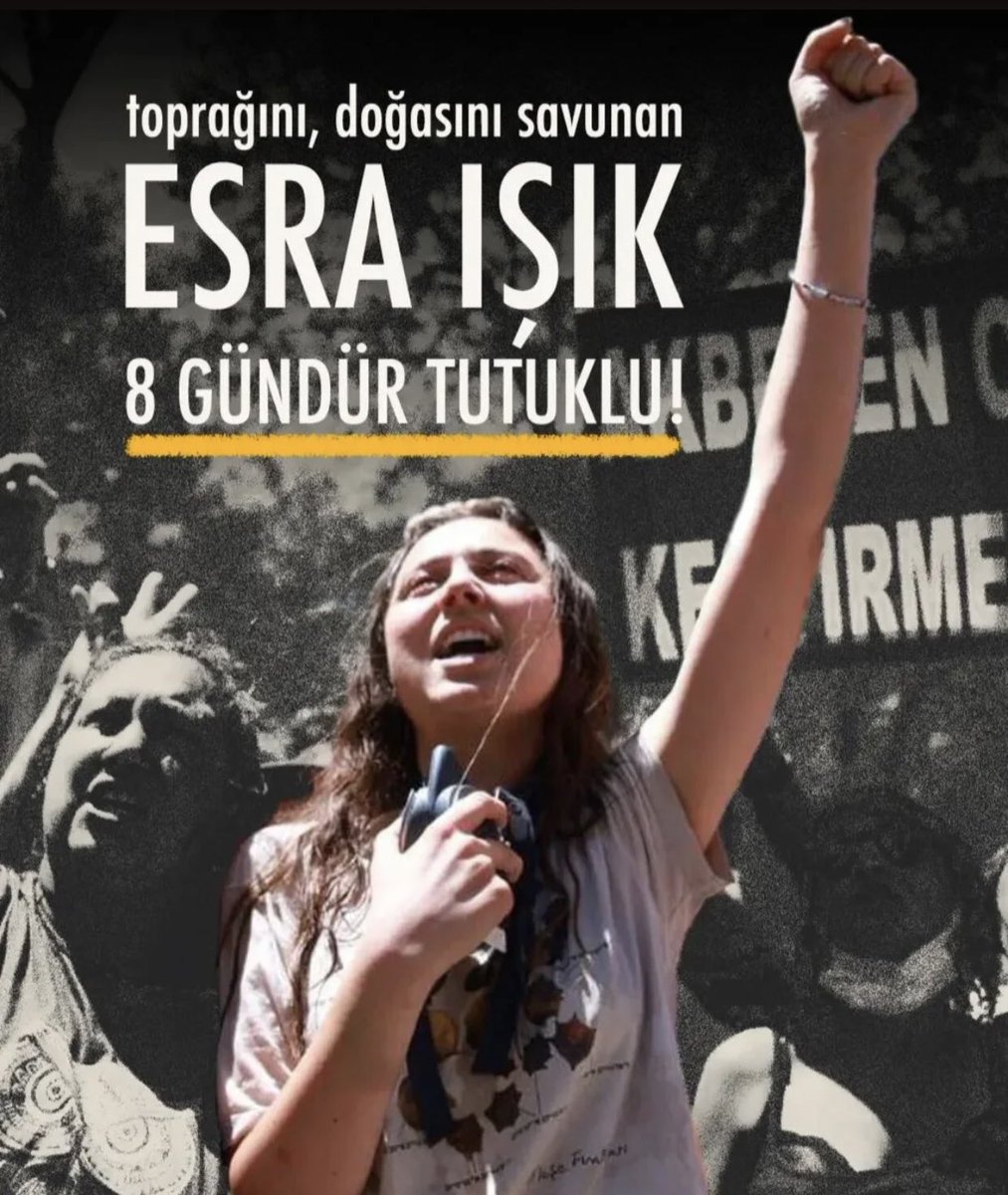 Sol Yumruk tweet media