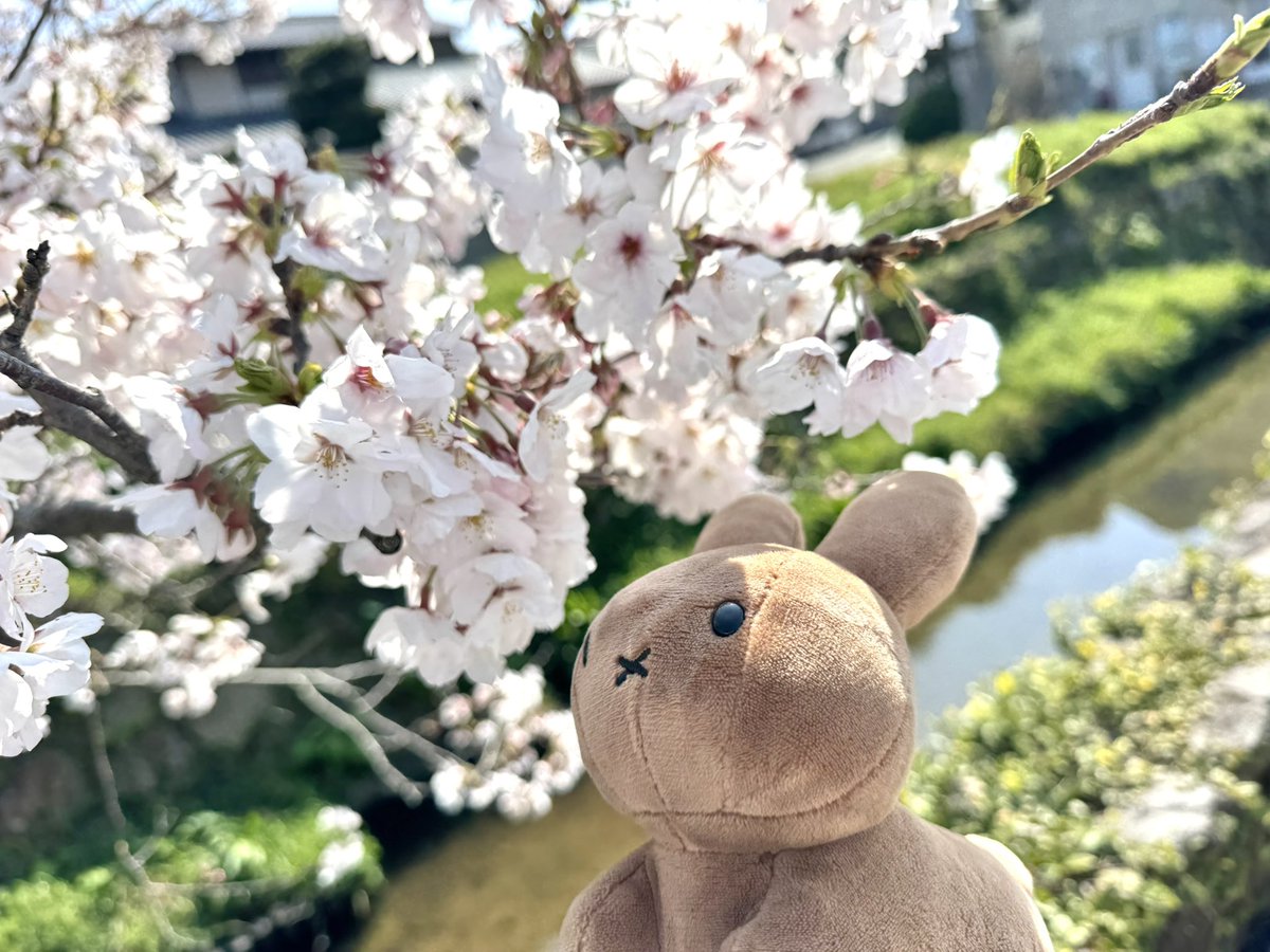 うーさーず tweet media