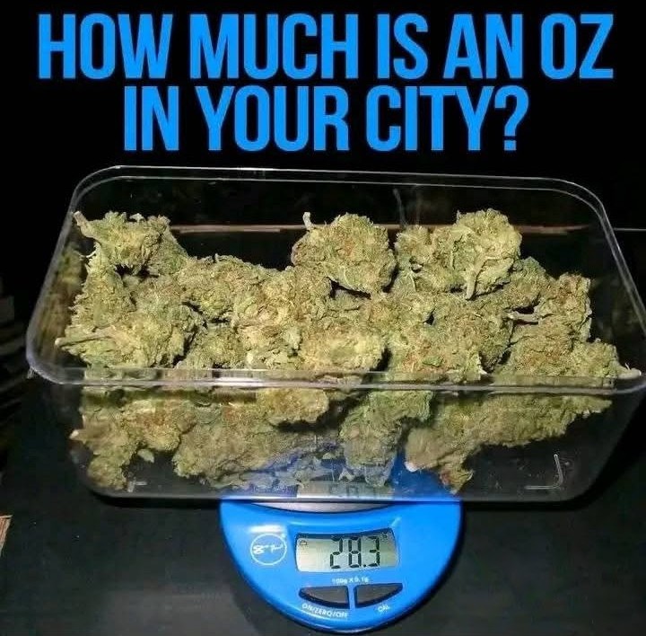 Artek Swaróg🌿💨🇵🇱 tweet media