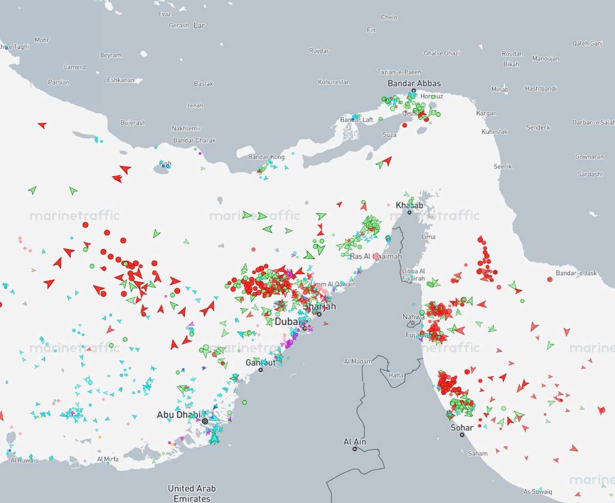 ふさふさ tweet media