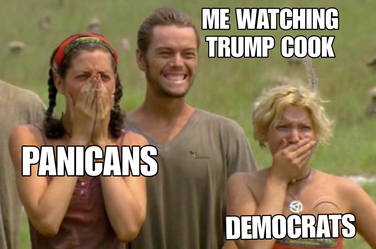 Truffle Pig tweet media