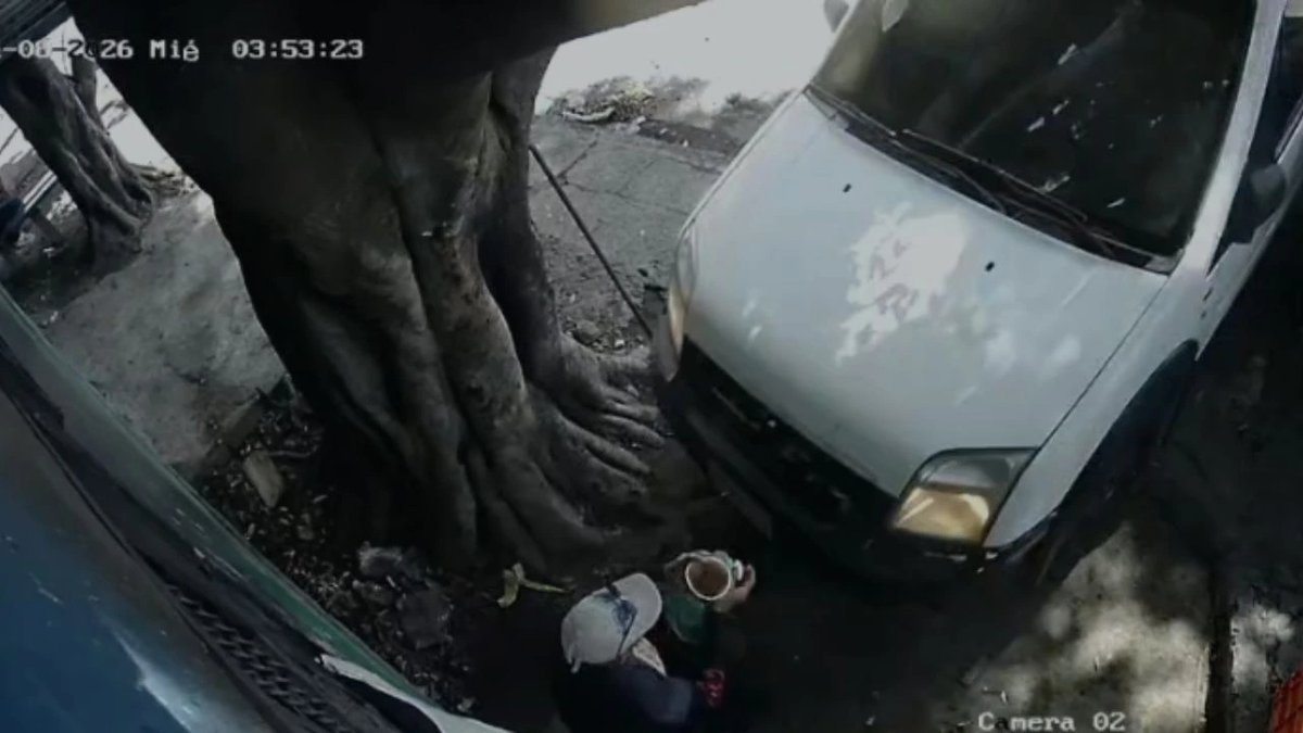 tunotacom tweet media