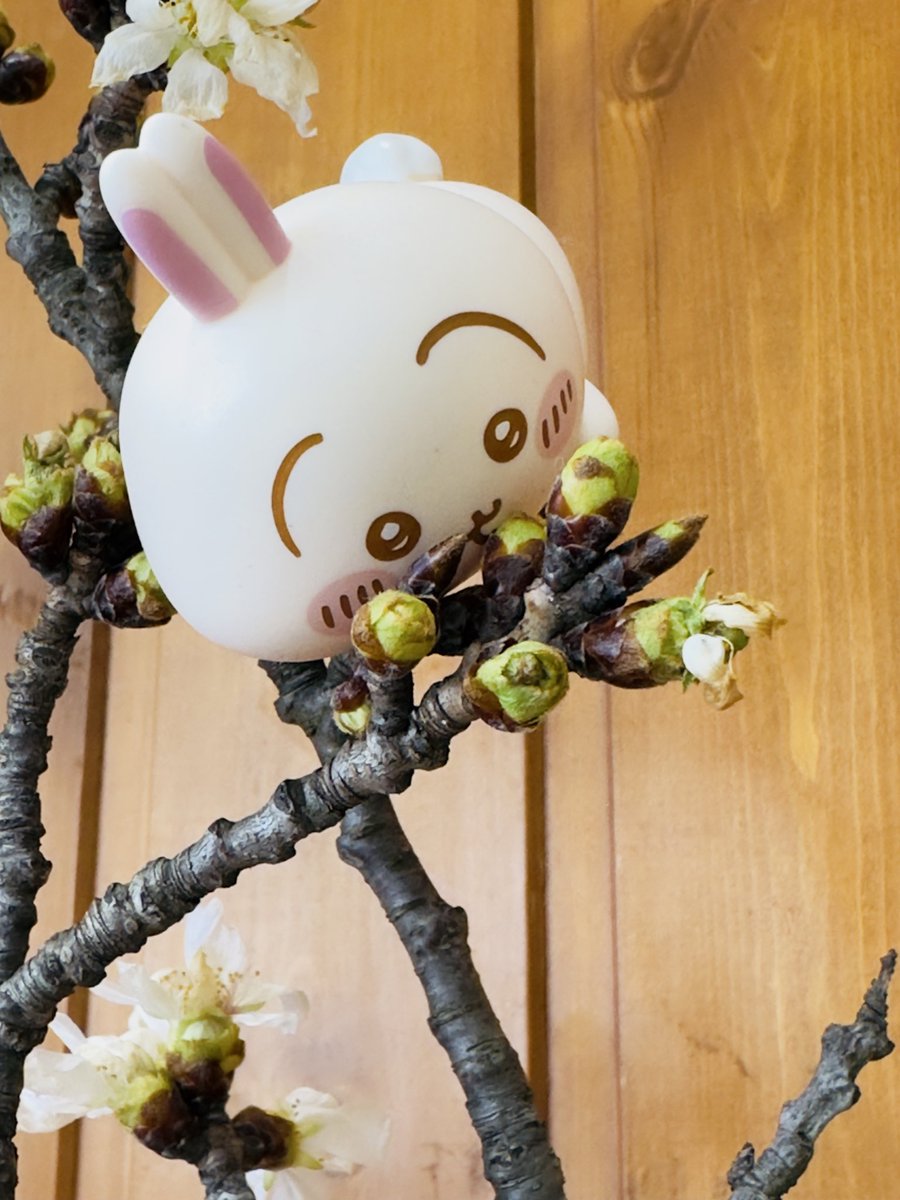 真夏🌻 tweet media