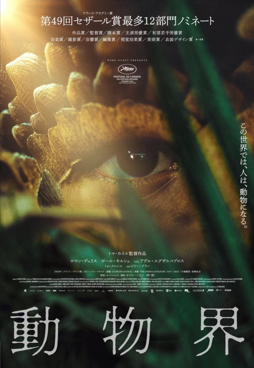 桂 七福(落語家・徳島在住) tweet media