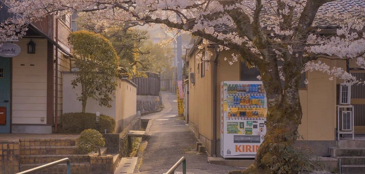 Yuzii 悠司 tweet media