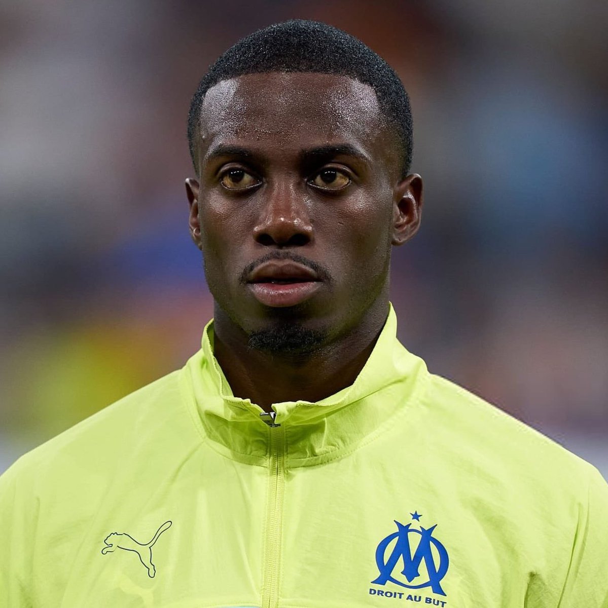 Massilia Zone tweet media