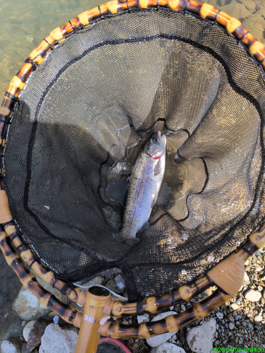 島ちゃん黒魂🌈 tweet media