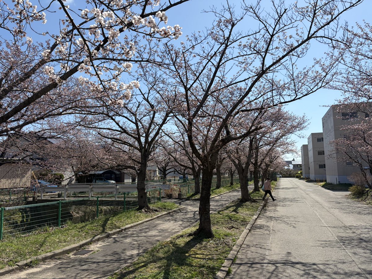 ちよやん tweet media