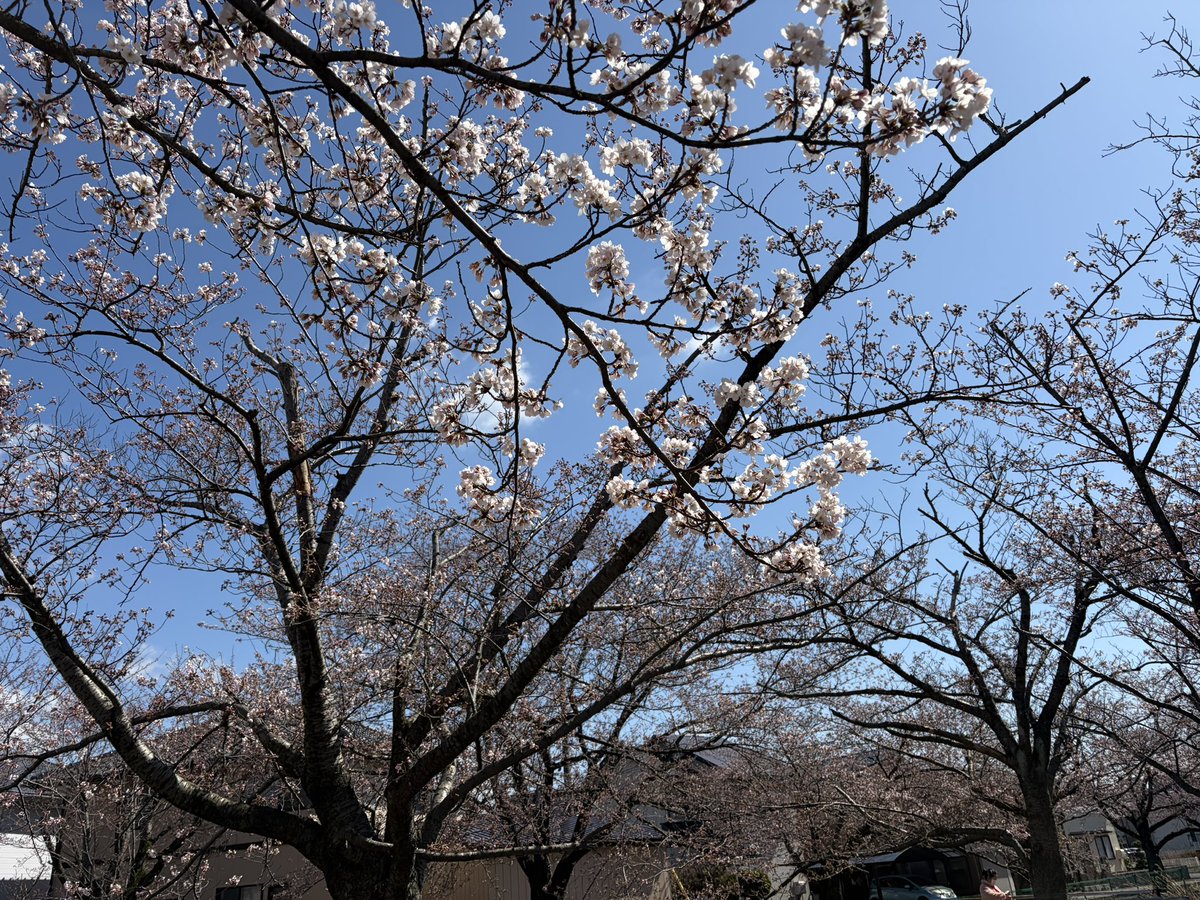 ちよやん tweet media