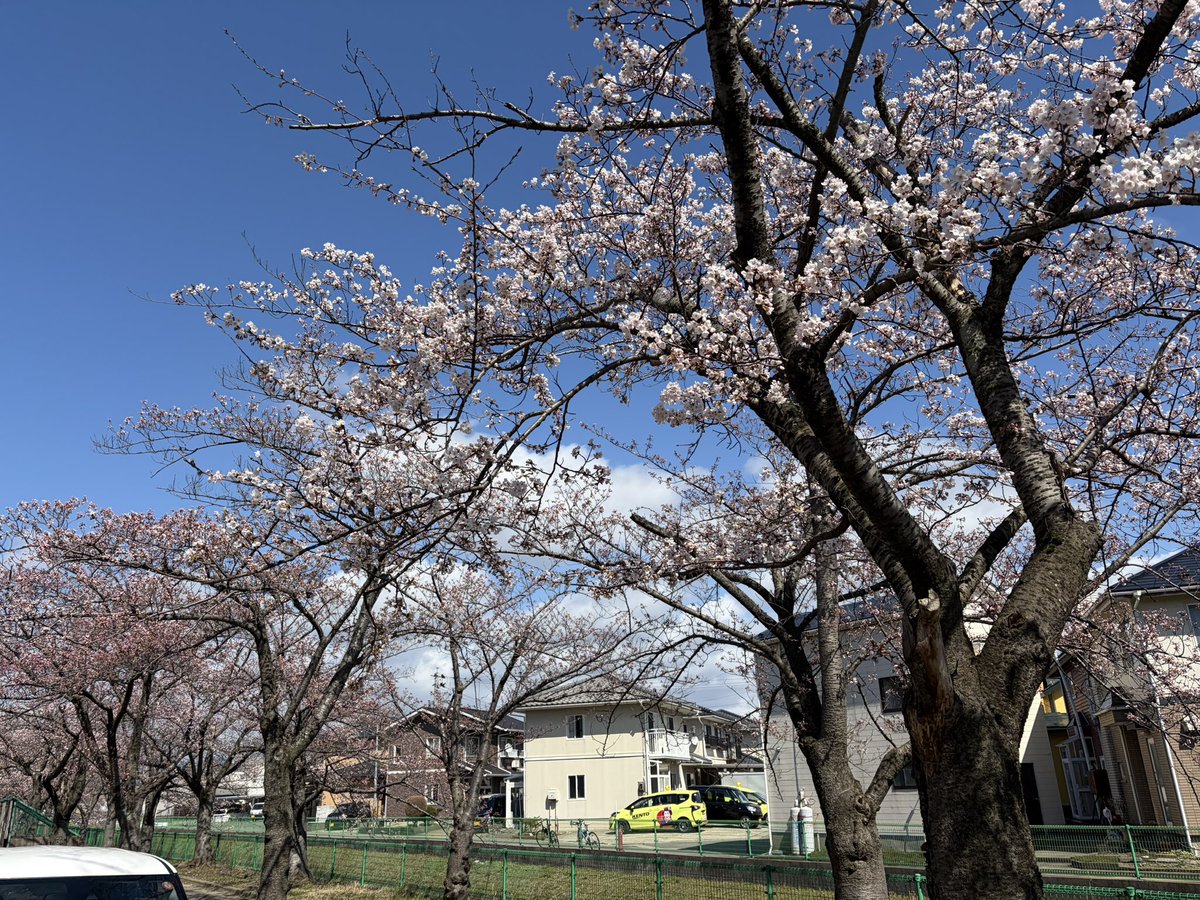 ちよやん tweet media