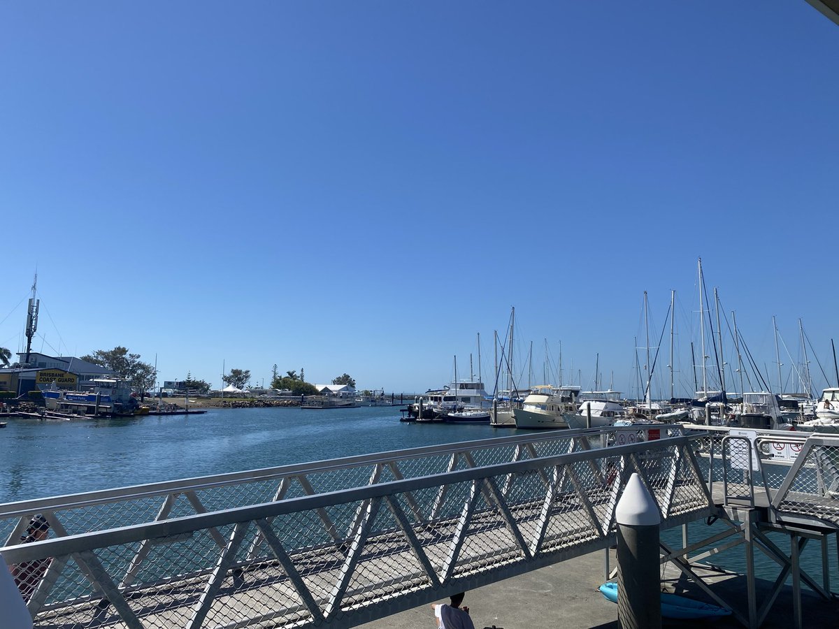 BowTiedStocks tweet media