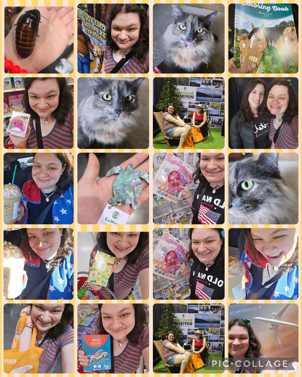 mallstar's tweet image. Some of last month's photos! #lifein2026 #enjoythelittlethings #enjoylife #cat #adventure